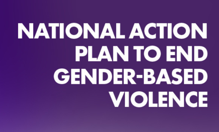 Funding For The National Action Plan To End Gender Based Violence ...